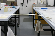 Model During Treatment